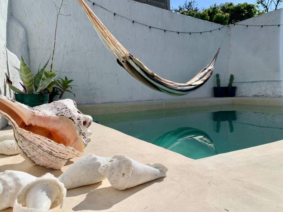 Casita Azul Colonial En El Centro De Merida. Eksteriør bilde