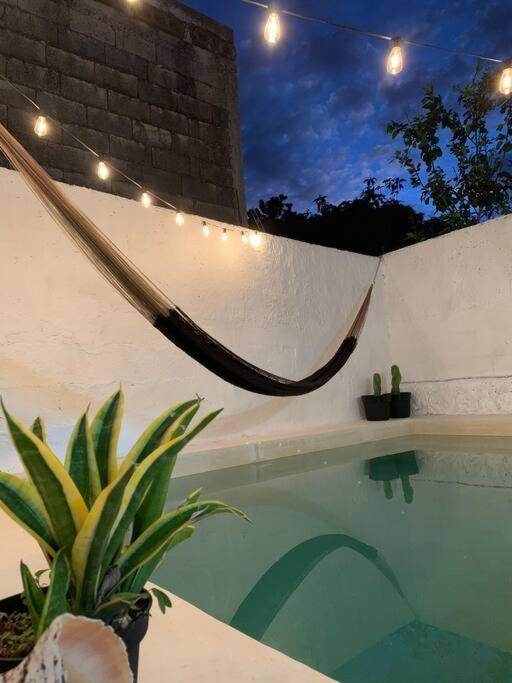 Casita Azul Colonial En El Centro De Merida. Eksteriør bilde
