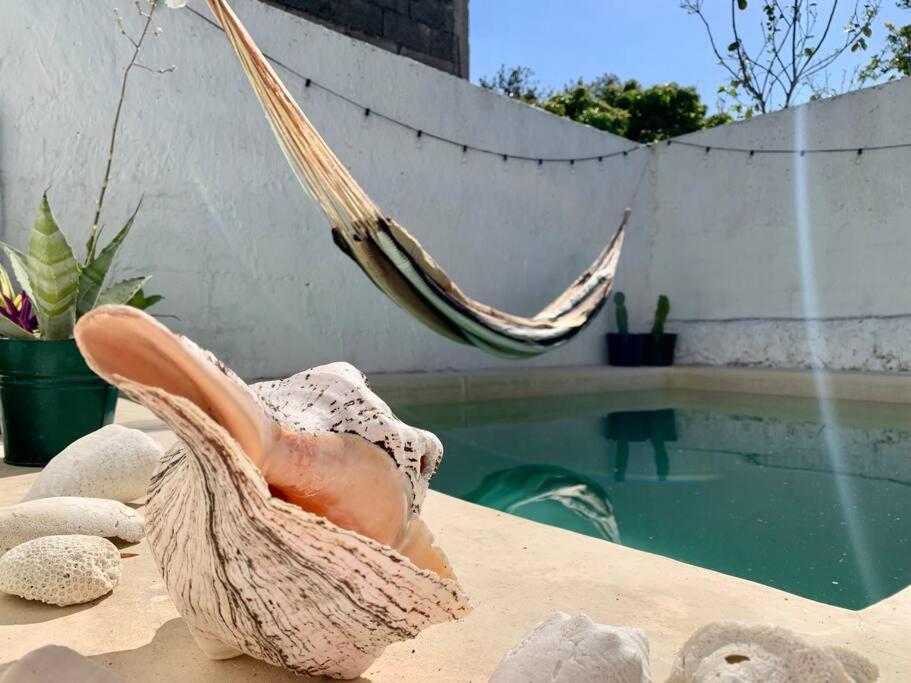 Casita Azul Colonial En El Centro De Merida. Eksteriør bilde