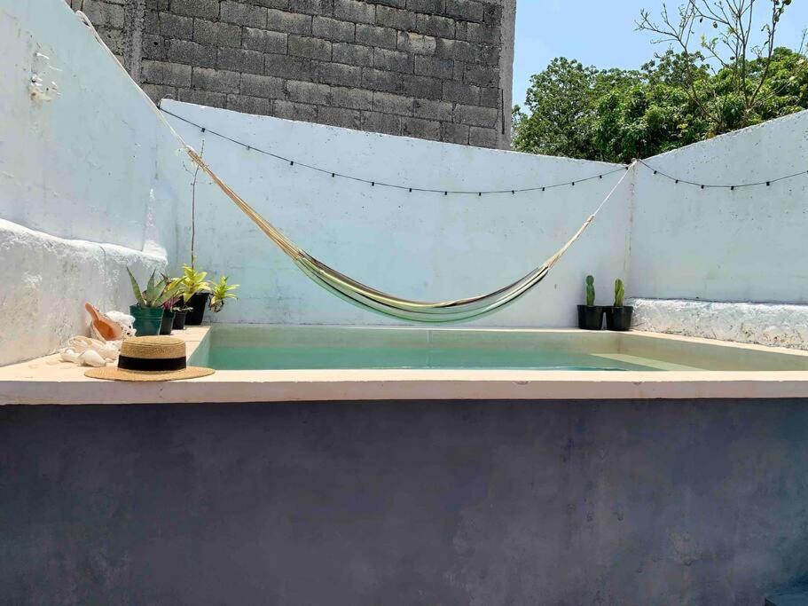 Casita Azul Colonial En El Centro De Merida. Eksteriør bilde