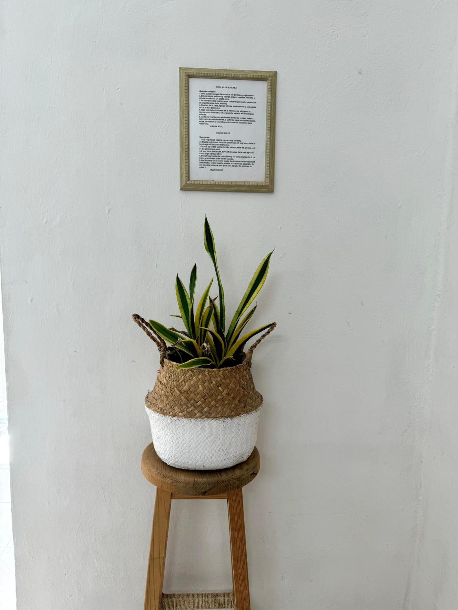 Casita Azul Colonial En El Centro De Merida. Eksteriør bilde